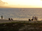 Watching hump back whales from the shore