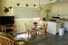 Dining area and kitchen view