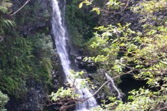 Another waterfall on the road to Hana