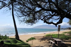 Kamaole I beach