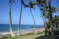Ulua Beach Snorkeling & Diving at it's Very Best
