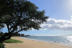 Kamaole II beach across from Kihei Kai Nani
