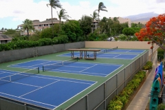 Four championship size tennis courts