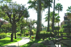 Lush greenery nestled amongst condos, ponds, and waterfalls