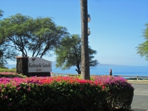 Kamaole Sands is right across the road from the beach