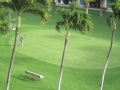 Putting green