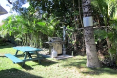 Kihei Kai Nani Gas BBQs