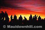 Maui Downhill